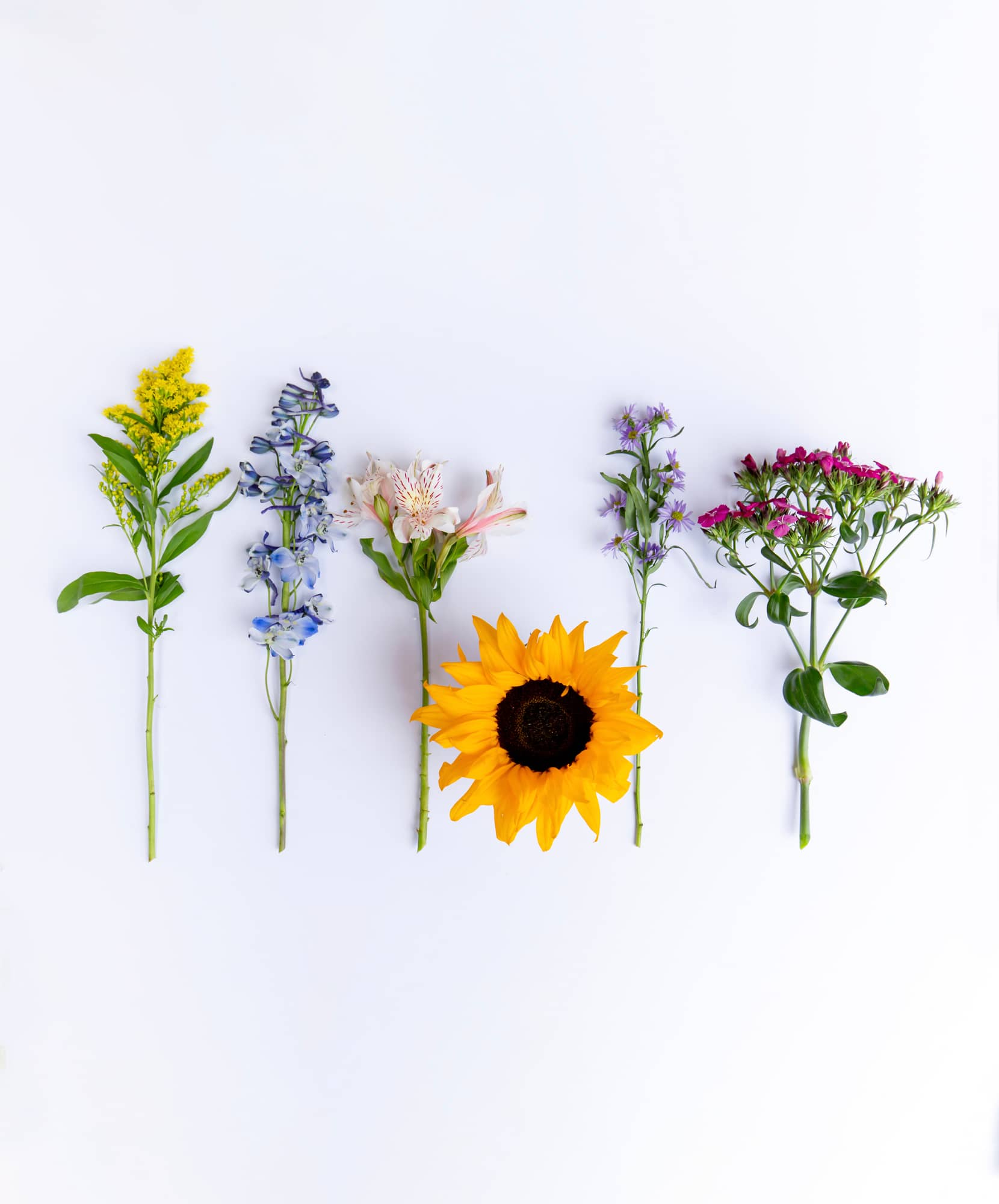 A vibrant collection of fresh flowers, including sunflowers and colorful blooms, on display.