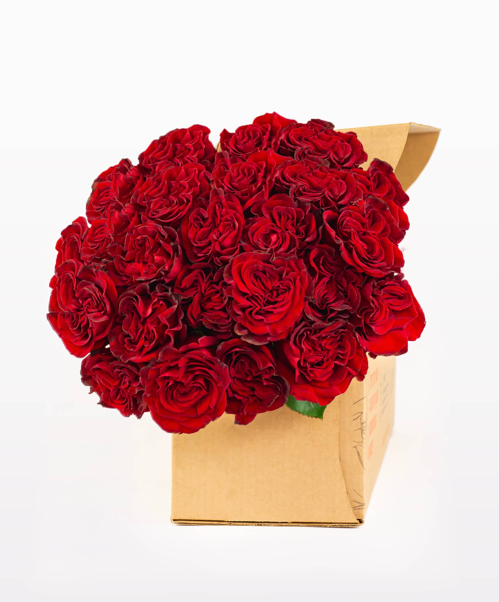 Vibrant bouquet of red roses elegantly presented in a simple gift box, ideal for any occasion.