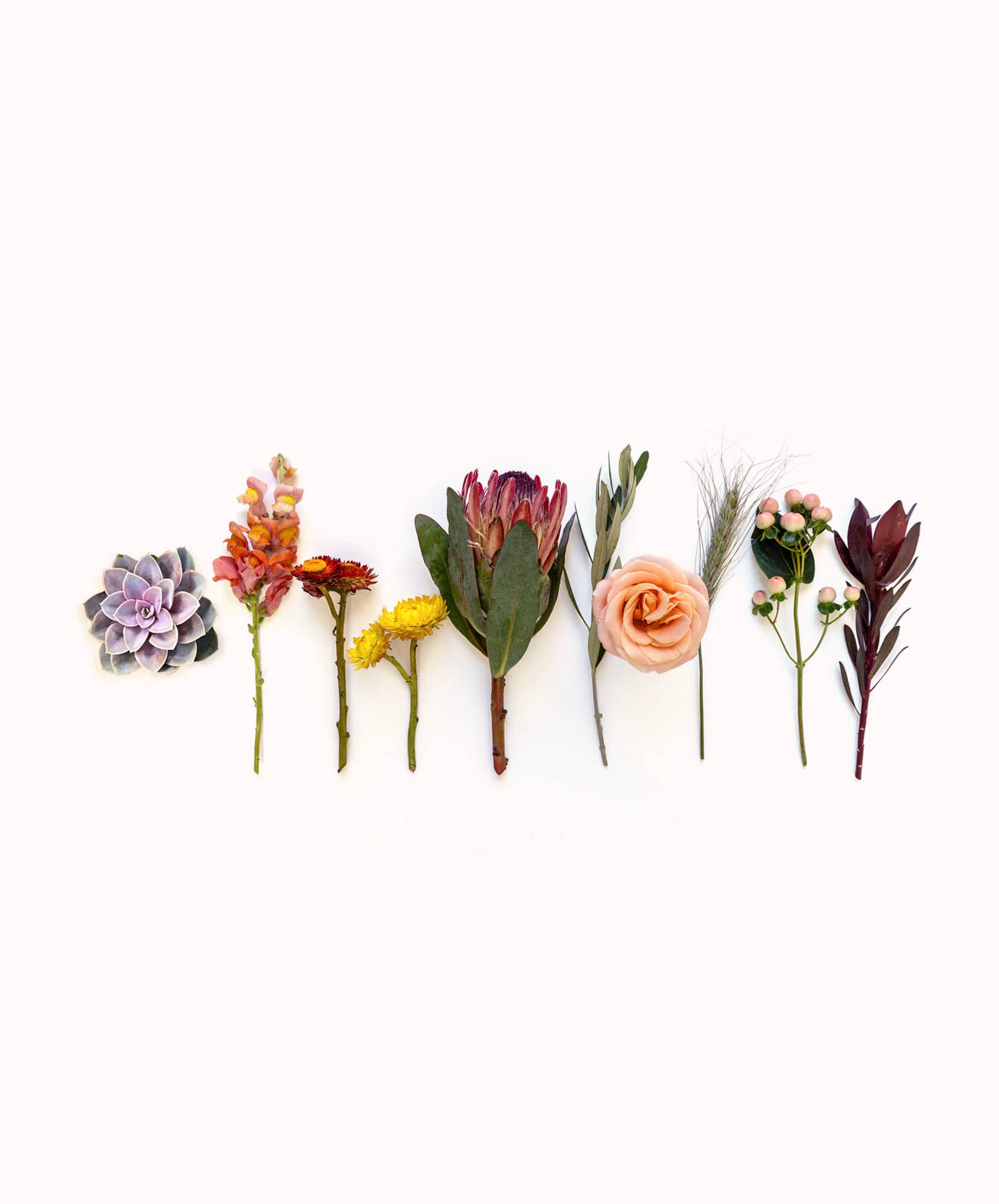 A vibrant array of seasonal flowers and succulents, perfect for unique floral designs.