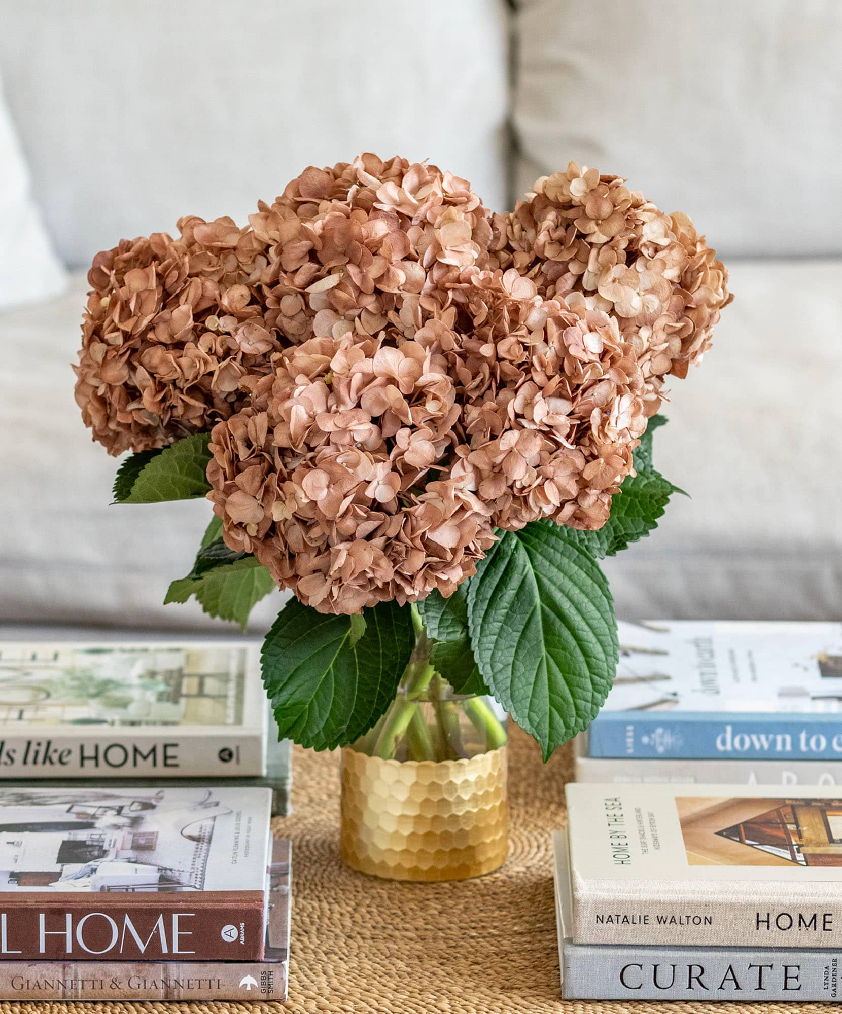 Elegant dried hydrangeas in warm tones, displayed in a stylish vase atop coffee table books.